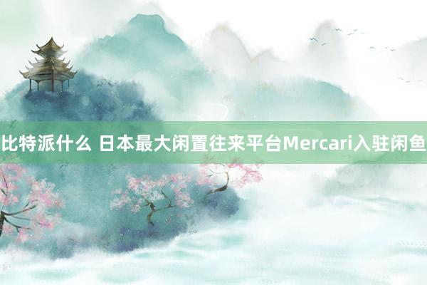 比特派什么 日本最大闲置往来平台Mercari入驻闲鱼