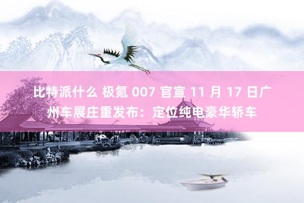 比特派什么 极氪 007 官宣 11 月 17 日广州车展庄重发布：定位纯电豪华轿车