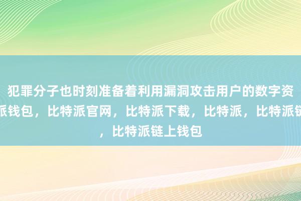 犯罪分子也时刻准备着利用漏洞攻击用户的数字资产比特派钱包，比特派官网，比特派下载，比特派，比特派链上钱包