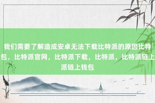 我们需要了解造成安卓无法下载比特派的原因比特派钱包，比特派官网，比特派下载，比特派，比特派链上钱包