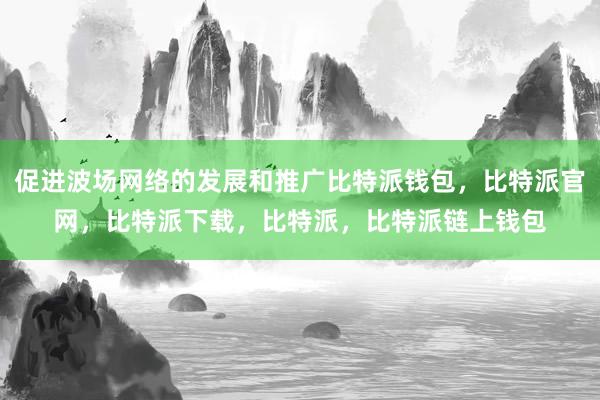 促进波场网络的发展和推广比特派钱包，比特派官网，比特派下载，比特派，比特派链上钱包