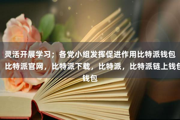 灵活开展学习；各党小组发挥促进作用比特派钱包，比特派官网，比特派下载，比特派，比特派链上钱包