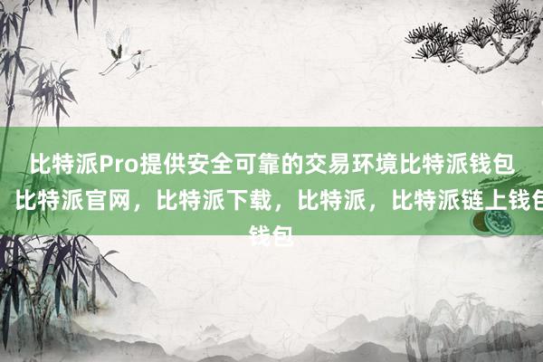 比特派Pro提供安全可靠的交易环境比特派钱包，比特派官网，比特派下载，比特派，比特派链上钱包