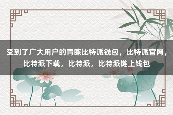 受到了广大用户的青睐比特派钱包，比特派官网，比特派下载，比特派，比特派链上钱包