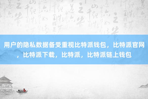 用户的隐私数据备受重视比特派钱包，比特派官网，比特派下载，比特派，比特派链上钱包