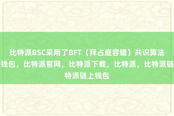 比特派BSC采用了BFT（拜占庭容错）共识算法比特派钱包，比特派官网，比特派下载，比特派，比特派链上钱包