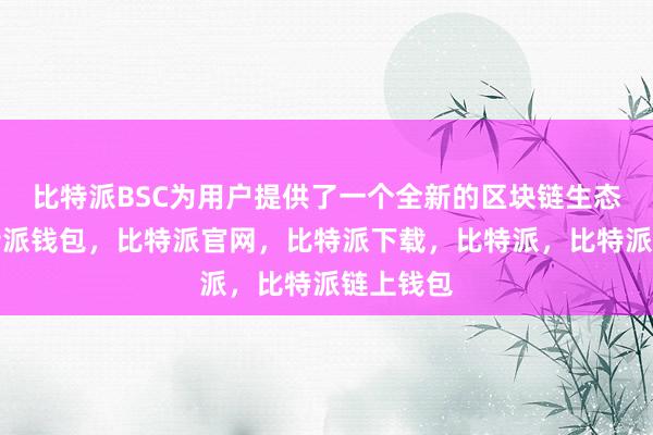 比特派BSC为用户提供了一个全新的区块链生态系统比特派钱包，比特派官网，比特派下载，比特派，比特派链上钱包