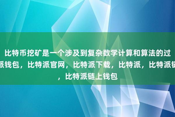 比特币挖矿是一个涉及到复杂数学计算和算法的过程比特派钱包，比特派官网，比特派下载，比特派，比特派链上钱包