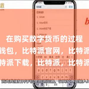 在购买数字货币的过程中比特派钱包，比特派官网，比特派下载，比特派，比特派链上钱包