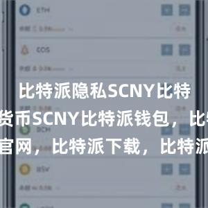 比特派隐私SCNY比特派的数字货币SCNY比特派钱包，比特派官网，比特派下载，比特派，比特派链上钱包