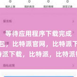 等待应用程序下载完成比特派钱包，比特派官网，比特派下载，比特派，比特派链上钱包