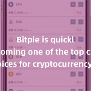 Bitpie is quickly becoming one of the top choices for cryptocurrency enthusiasts worldwide.比特派钱包，比特派官网，比特派下载，比特派，比特派链上钱包