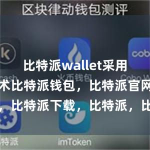 比特派wallet采用多重加密技术比特派钱包，比特派官网，比特派下载，比特派，比特派链上钱包